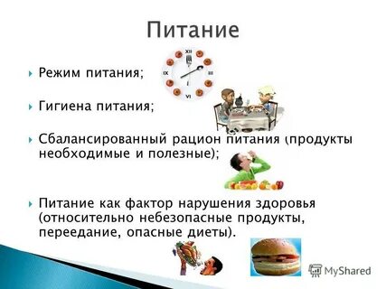 Режим питания гигиена