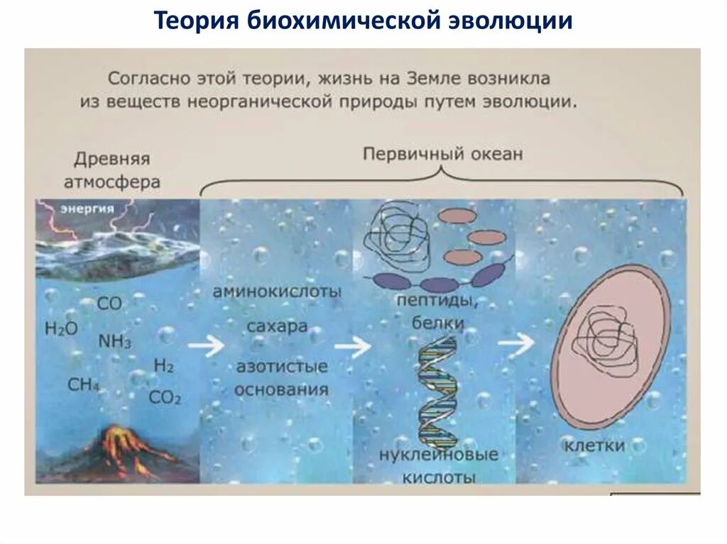 Последовательность этапов биохимической эволюции. Схема зарождения жизни. Схема возникновения жизни на земле. Биохимическая теория происхождения жизни. Теория биохимической эволюции.