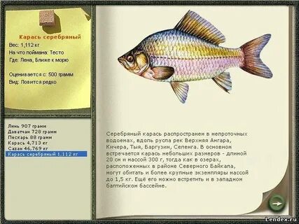 Где ловить карася