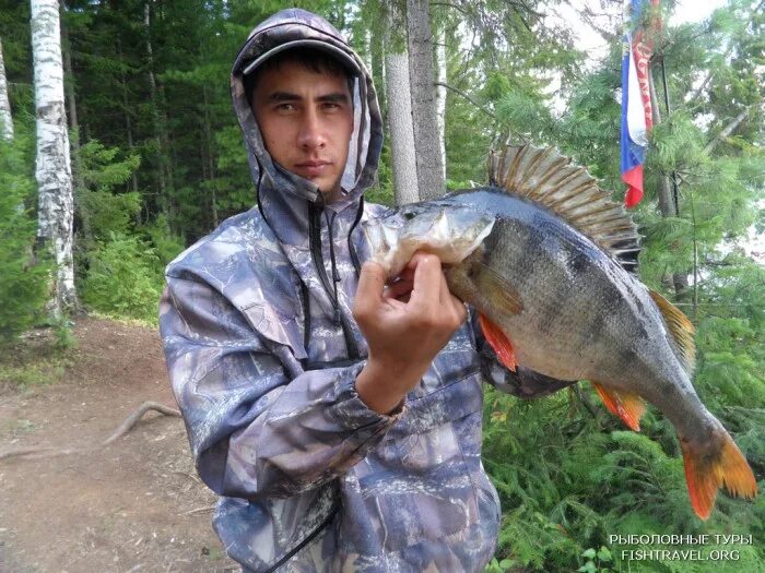 Озеро большой Кумикуш. Озеро большой Кумикуш Пермский край. Большой окунь. Окунь Озерный. Ловля окуней на озере