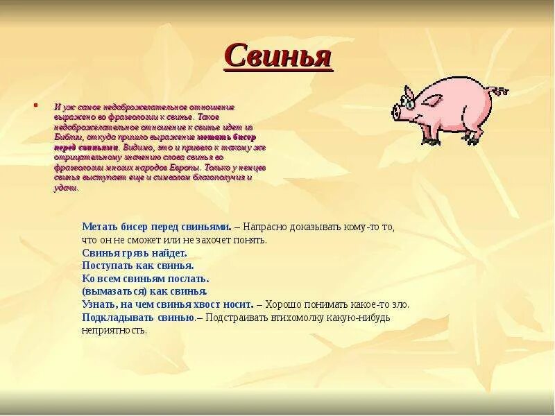 Перед свиньи. Метать бисер перед.свиньями. Интересные факты о свиньях. Факты о поросятах. Бисер перед свиньями.
