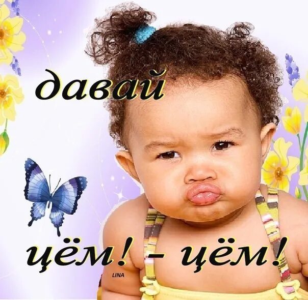 Цем что это. Цем цем целую. цём. цем цем. цём цём картинки.
