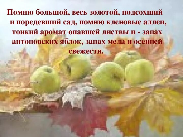 Произведение яблоки. Бунин антоновские яблоки слайд. антоновские яблоки бунин иллюстрации. антоновские яблоки книга. бунин и. &quot;антоновские яблоки&quot;.