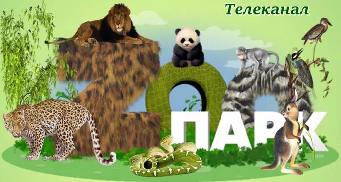 Zooпарк телеканал реклама. Логотип телеканала zooпарк. Зоопарк логотип для канала. Зоопарк логотип для канала. Zooпарк телеканал.