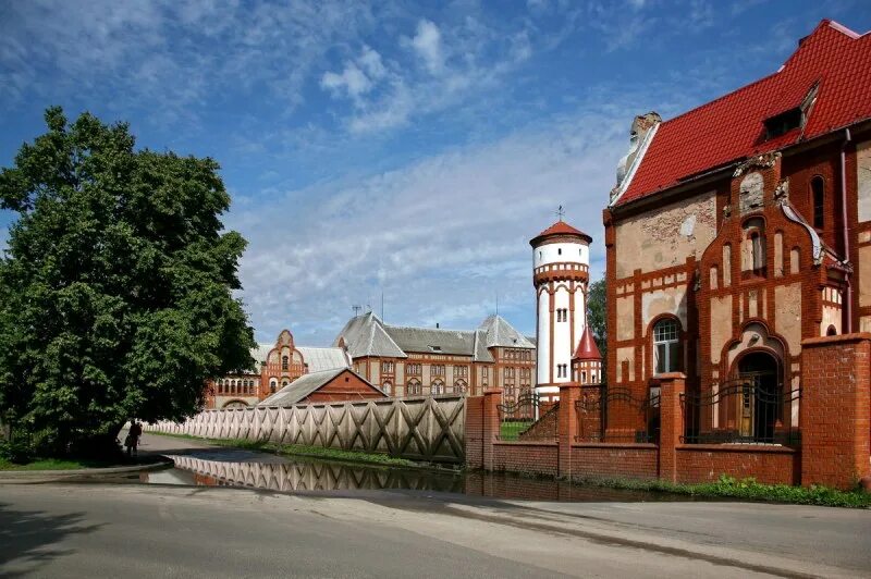 Калининград туристический. Калининград кафедральный собор аллея. Калининград город для экскурсии. Путешествие со вкусом. Тур в калининград «знакомство с янтарным краем».