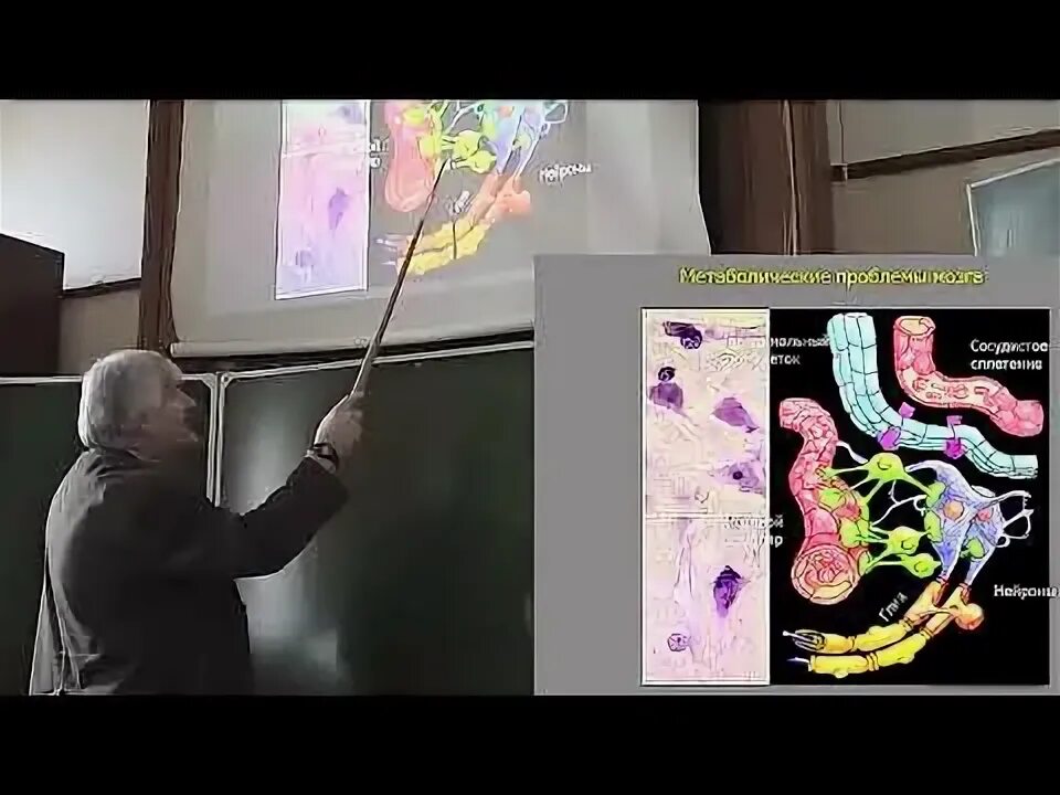Бехтерева научный руководитель института мозга человека. Институт мозга человека бехтеревой. Нии головного мозга. Институт мозга березовский свердловская область. Институт мозга профессор.