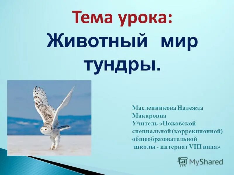 Окружающий мир животные. Окружающий мир животные. В мире животных заставка. Темы для презентации животн. В мире животных урок.