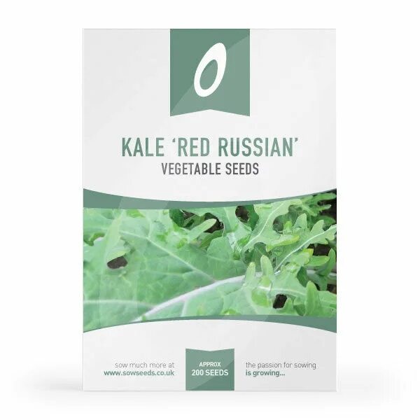 Russian Kale. Kale Seeds. Kale русский. Kale Red Russians's Seeds. Kale перевод