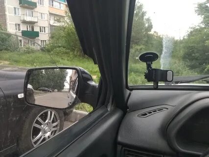 Адаптация калины