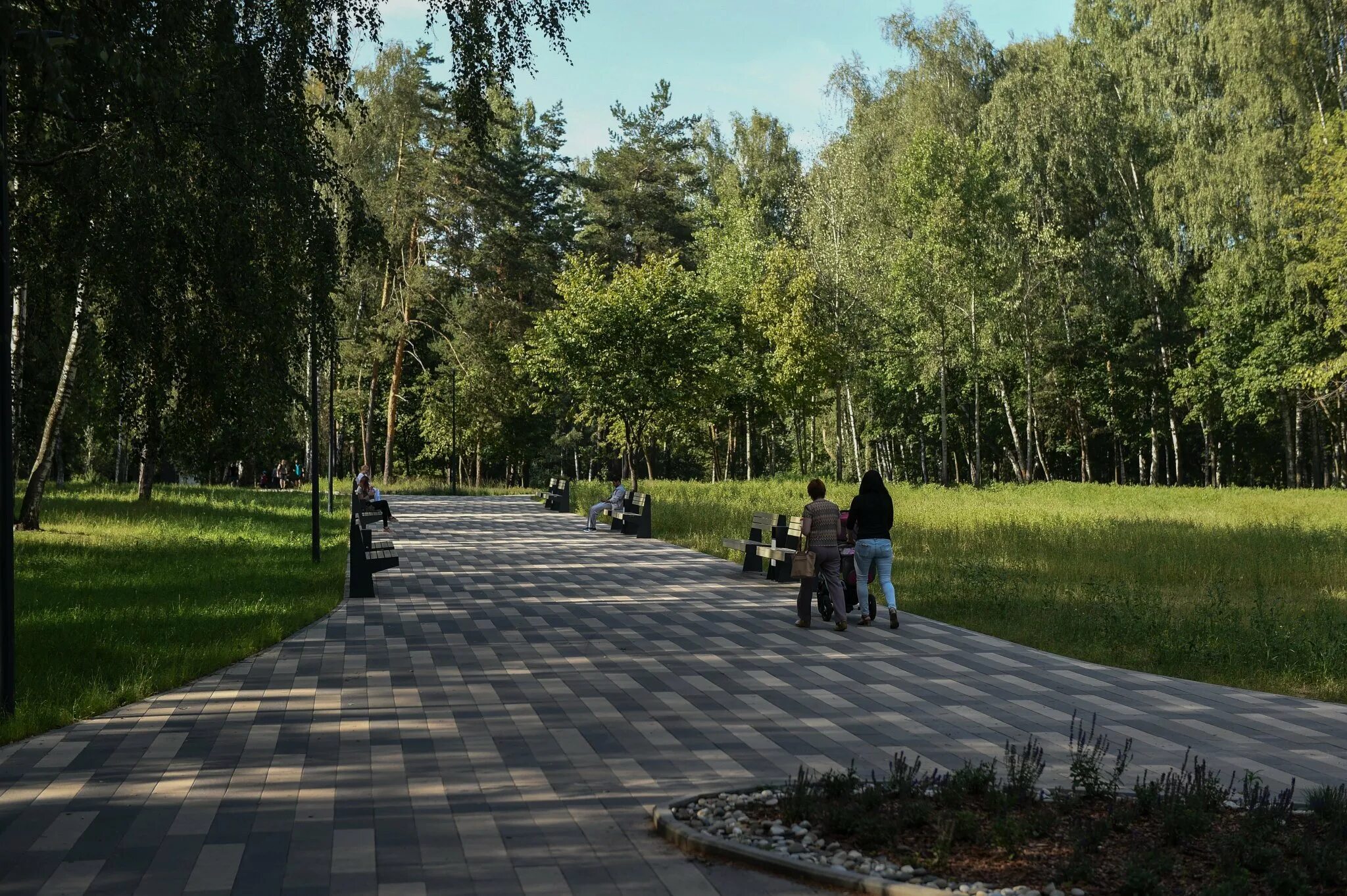 Фото парков подмосковья