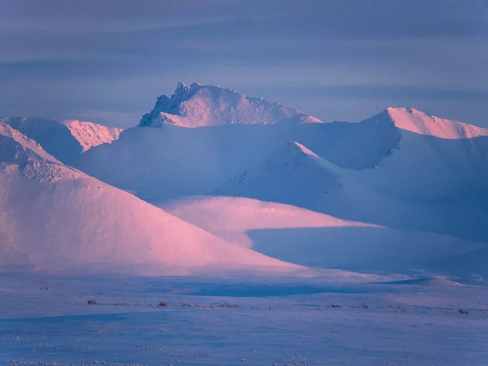 Арктическая зона северной америки. Зона арктических пустынь. Арктическая пустыня и тундра. Арктическая пустыня Арктическая пустыня. Арктические пустыни Северной Америки.