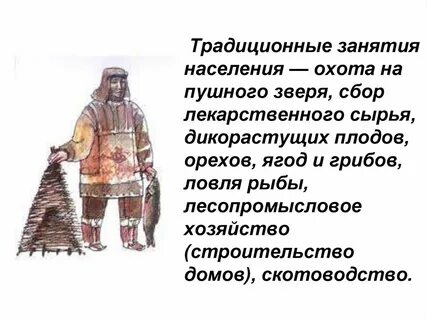 Жизнь и деятельность человека в тайге