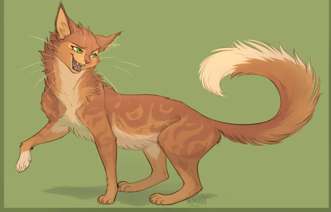 Огнева рыжик. Коты Воители VANYCAT. Коты Воители Варриорс. Squirrelflight коты Воители. Коты Воители Ольхогрив.