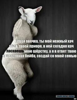 Слова со слова барашек