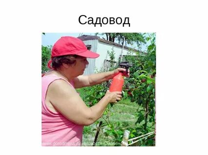 5 садоводов