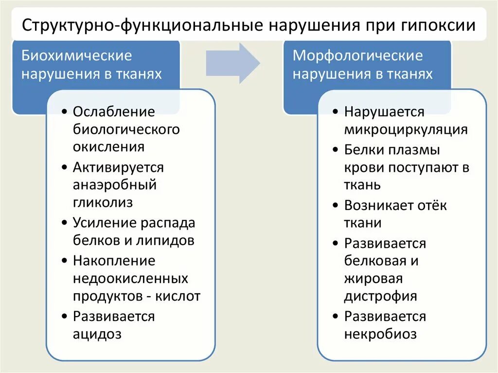 Функциональные изменения примеры. Структурно-функциональные расстройства при гипоксии. Структурно-функциональные нарушения при гипоксии. Биохимические и морфологические нарушения при гипоксии. Морфологические нарушения при гипоксии.