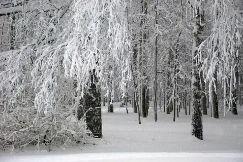 Нижний новгород снежная
