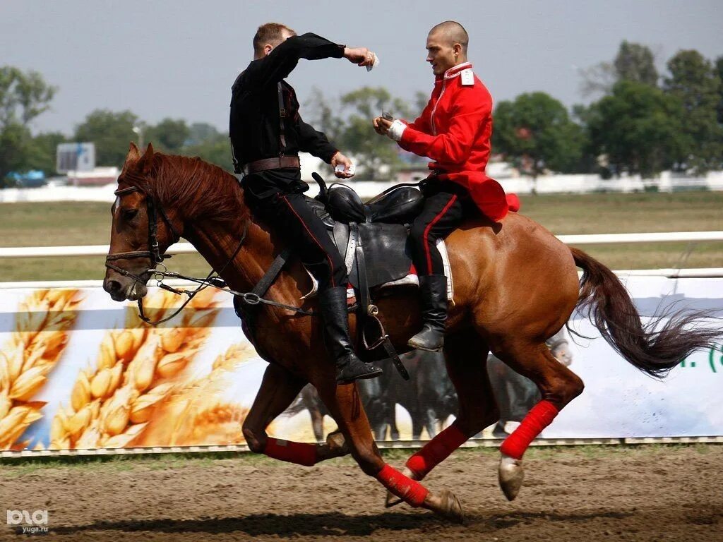 Чему завидовали все наездники и не. Джигитовка конный спорт. Казачья джигитовка. Джигитовка донских Казаков. Конный спорт джигитовка Казачья.