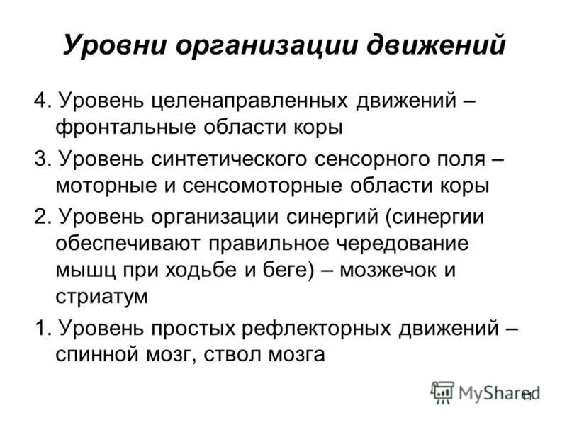 Уровни организации движений. Система движения физиология. Организация движений физиология. Физиология движения кратко. Серийная организация движений