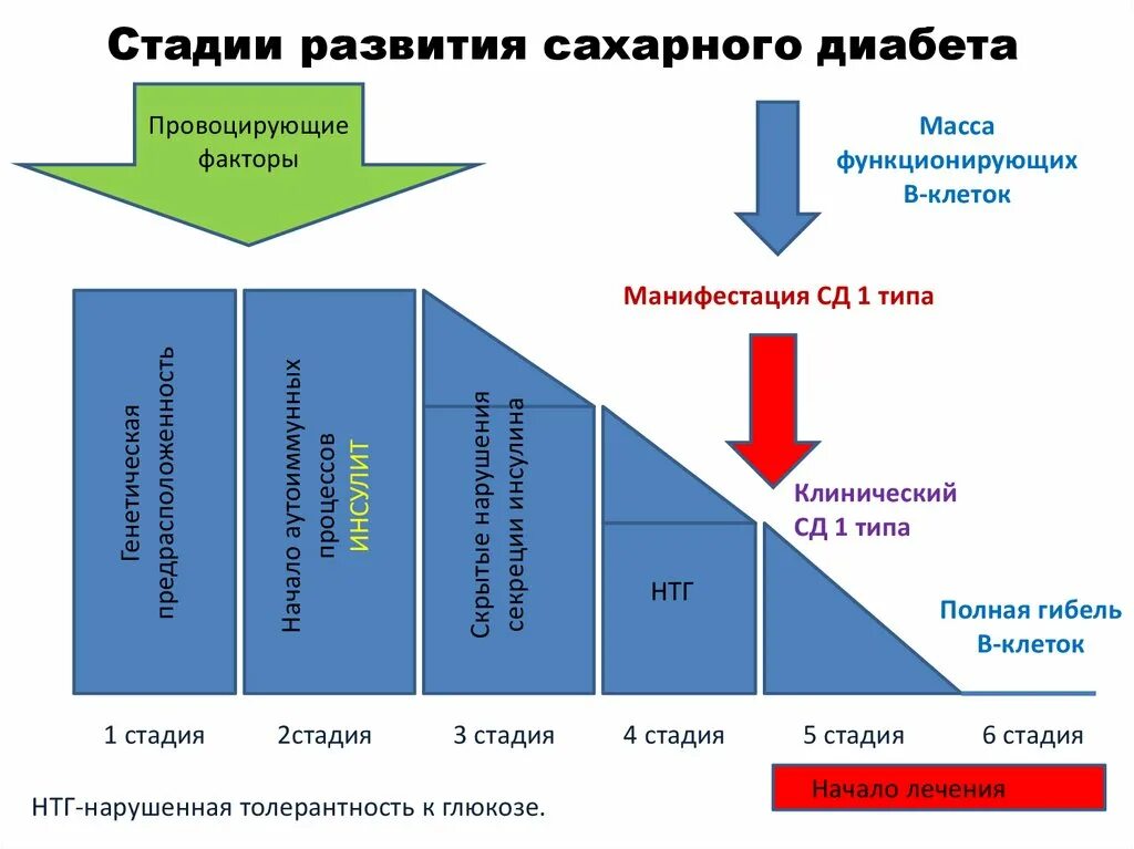 Стадии сахарного диабета 1 типа. Стадии развития сахарного диабета 1 типа. Этапы развития сахарного диабета 2 типа. Стадии сахарного диабета 1 типа у детей. На первом этапе должна быть