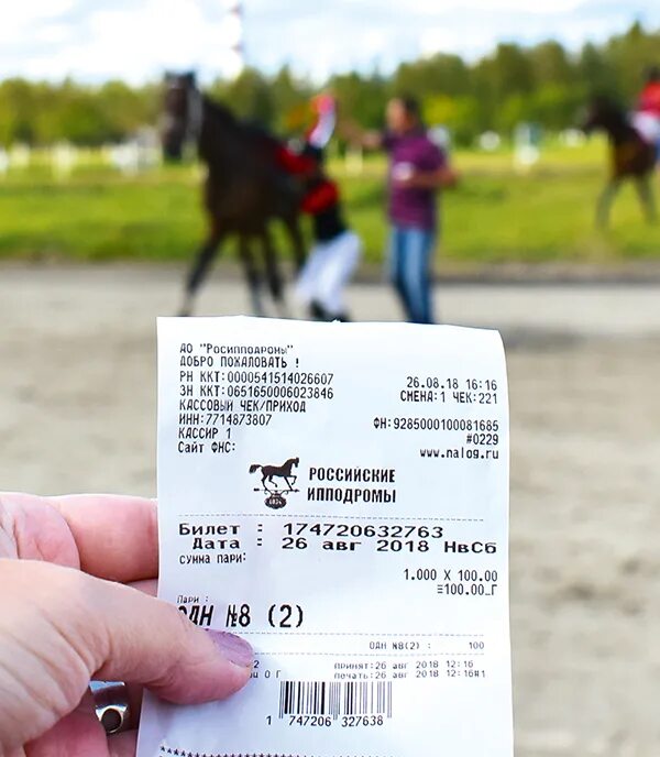 главный ипподром расписание. расписание ипподрома пятигорск. варыгин ипподром. ипподром в дагестане. конный ипподром грозный.