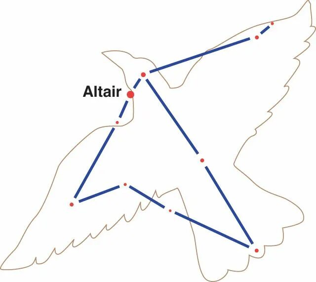 Созвездие голубь. Aquila Созвездие. Созвездие Орел схема. Звезда Альтаир в созвездии орла. Созвездие Альтаир схема.