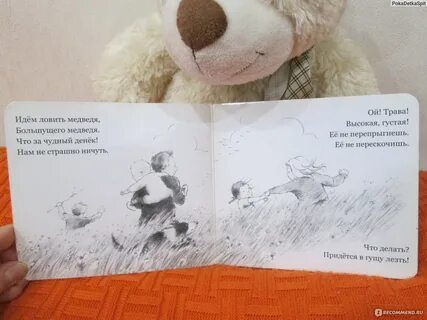 Медвежонок перевод