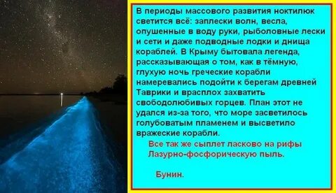 Где то в глубине текст