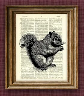 SQUIRREL beautifully upcycled vintage dictionary page book art image 1.