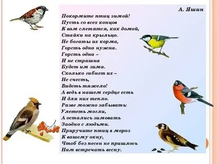 Стихи про птиц зимой