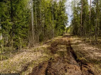 Дорога на 10 дней