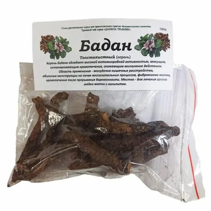 Корень бадана. Бадана толстолистного корневища препараты. Корень бадана лечебные свойства. Бадана толстолистного корневища. Корень бадана лечебные свойства.
