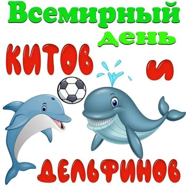 19 февраля день чего. 23 июля - всемирный день китов и дельфинов (с 1986 г.). всемирный день китов (день защиты морских млекопитающих). день китов и дельфинов в детском саду. день китов и дельфинов для дошкольников.
