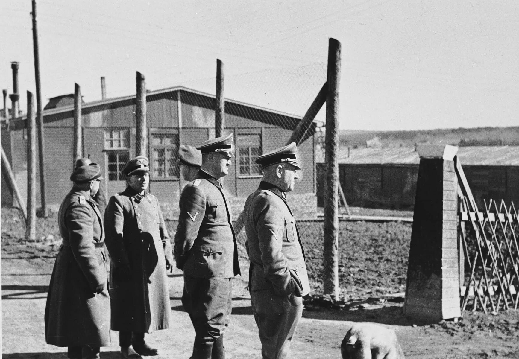 Лагеря освенцим аушвиц-биркенау. Веймар концлагерь бухенвальд. Фотки концлагеря. Фотки концлагеря. Лагеря освенцим аушвиц-биркенау.