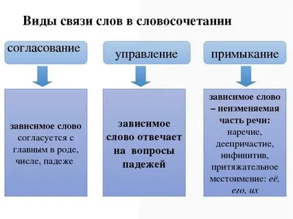 Первые месяцы вид связи