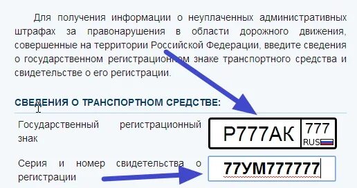 Регистрационный номер машины. Регистрационный номер машины пример. Сведения о государственном регистрационном знаке. Cdtltybz j ujcelfhcndtyyjv htubcnhfwbjyyj pyfrt.