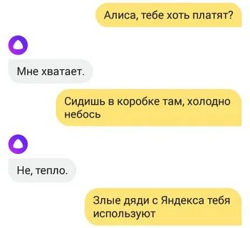 Алиса вы не понимаете