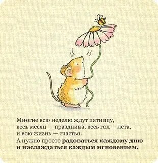 Планы не ждут