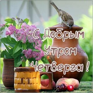 Хорошего дня хорошему человеку картинки красивые