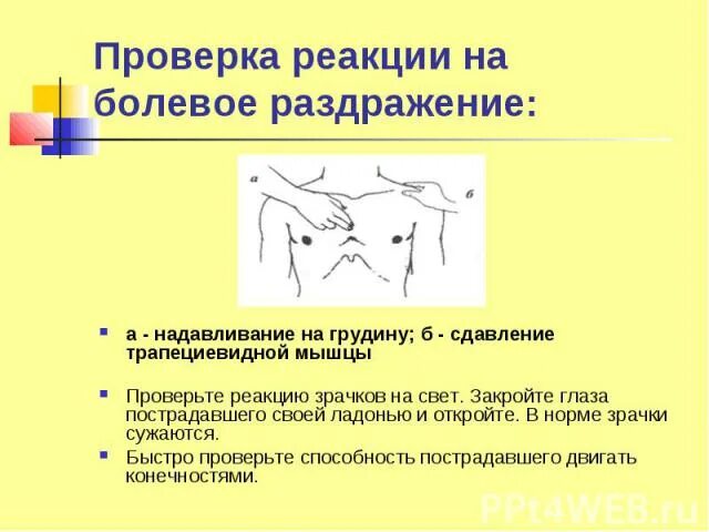 Резкая реакция на свет. Проверка реакции зрачков на свет. Раздражение на грудной клетке. Реакция на болевые раздражители при коме. Рефлекторная реакция зрачка на болевое раздражение.