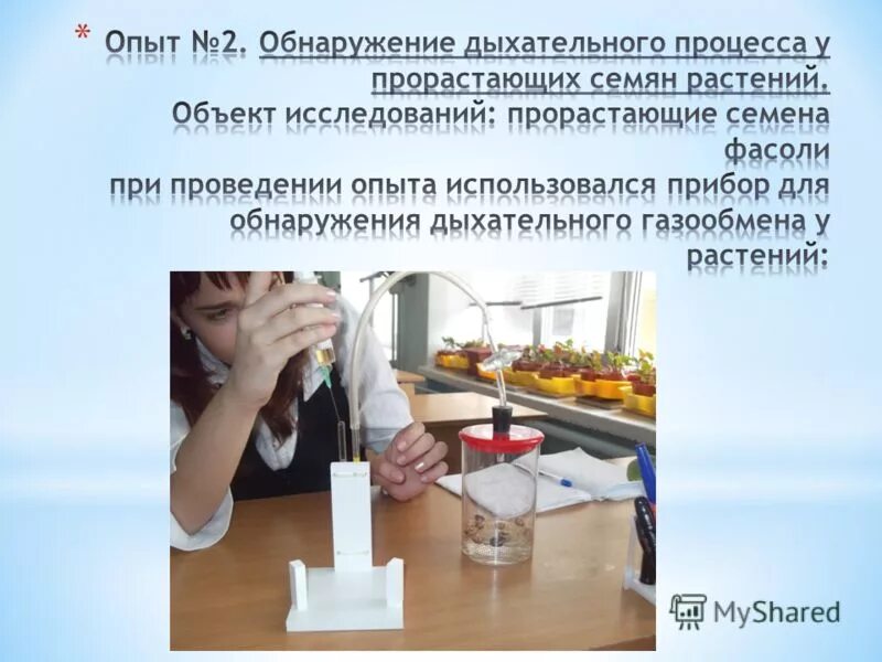 Класс обнаружение 2 обнаружение. Эксперимент обнаружения слепого пятно. Класс обнаружение 2 обнаружение. Горение парафина опыт. Памятка действия при обнаружении подозрительных предметов.