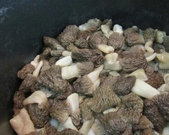 Как чистить сморчки. Сморчки грибы маринованные. сморчки грибы блюда. свежемороженые сморчки. маринованные сторччки.