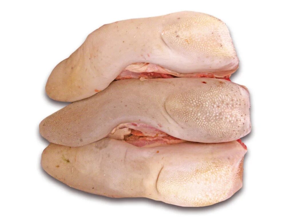 жир говяжий язык