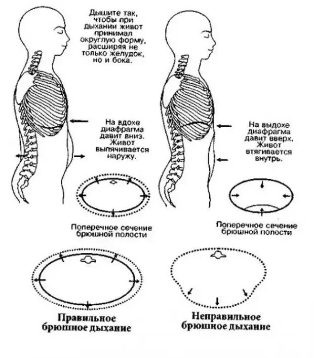 Дыхательная техника «брюшное дыхание». Диафрагменное дыхание схема. Методика брюшного дыхания. Диафрагмальное дыхание методика.