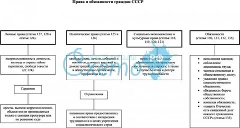 Культурные обязанности гражданина