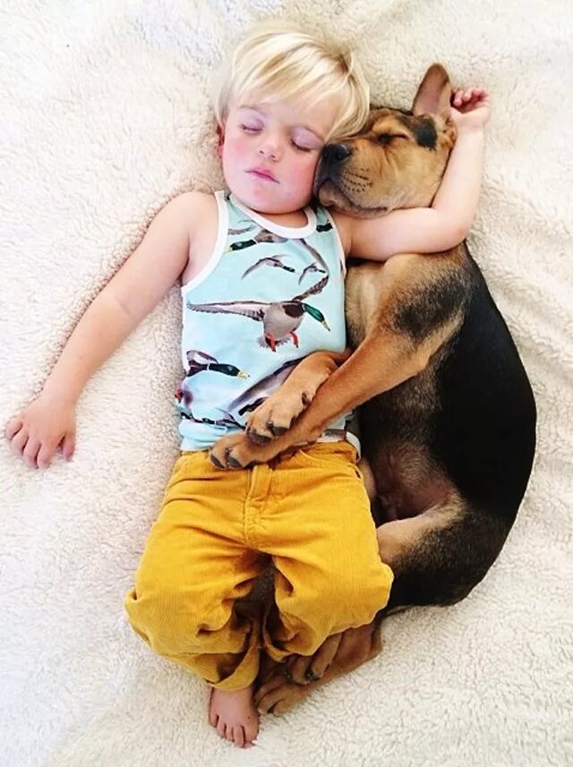 Собака для детей. Щенок мальчик. Мальчик с собакой. Маленькие собаки для детей.