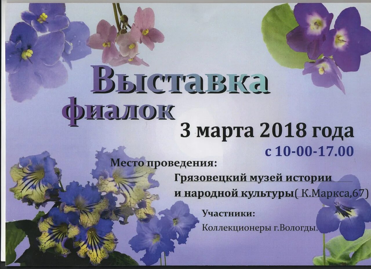 Выставка фиалок. Ярмарка комнатных растений. Выставка фиалок в москве. Про цветы за клубай. Кировский универмаг выставка фиалок март 2024.