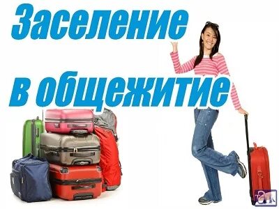 Колледж заселение в общежитие 2024