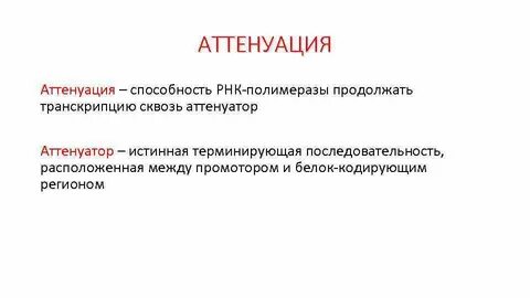 Аттенюация