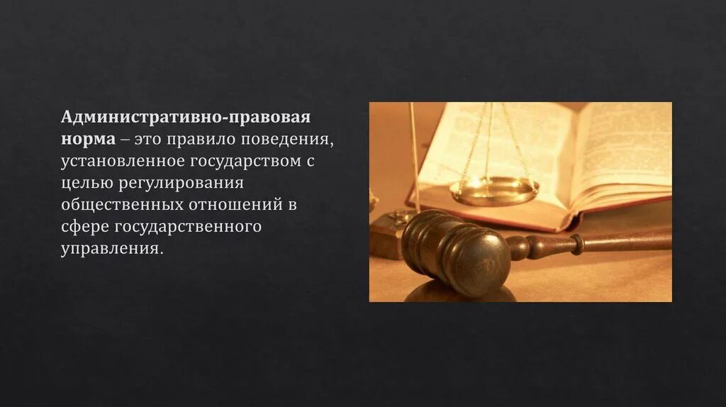 2 процессуальные административно правовые нормы устанавливают. Административное право. Правовые нормы. Правило правовых норм.